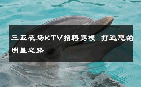 三亚夜场KTV招聘男模-打造您的明星之路 