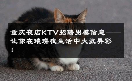 重庆夜店KTV招聘男模信息——让你在璀璨夜生活中大放异彩！ 