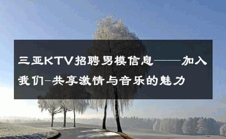 三亚KTV招聘男模信息——加入我们-共享激情与音乐的魅力 