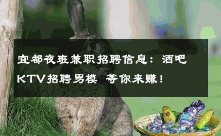 宜都夜班兼职招聘信息：酒吧KTV招聘男模-等你来赚！ 