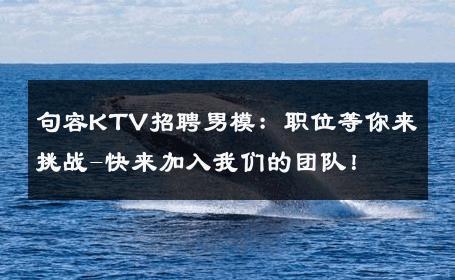 句容KTV招聘男模：职位等你来挑战-快来加入我们的团队！ 