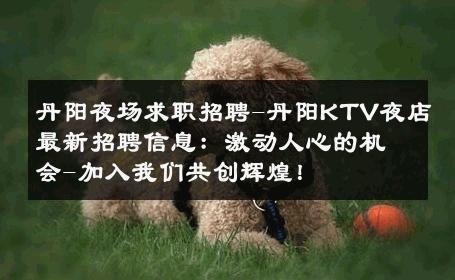 丹阳夜场求职招聘-丹阳KTV夜店最新招聘信息：激动人心的机会-加入我们共创辉煌！ 