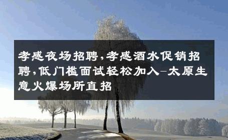 孝感夜场招聘,孝感酒水促销招聘,低门槛面试轻松加入-太原生意火爆场所直招