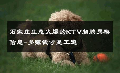 石家庄生意火爆的KTV招聘男模信息-多赚钱才是王道 