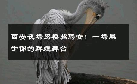 西安夜场男模招聘女：一场属于你的辉煌舞台 