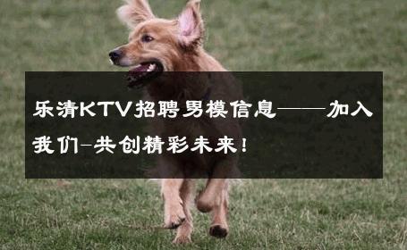 乐清KTV招聘男模信息——加入我们-共创精彩未来！ 