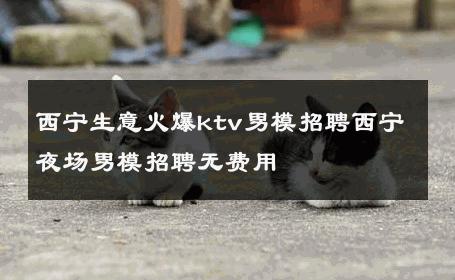 西宁生意火爆ktv男模招聘西宁夜场男模招聘无费用 