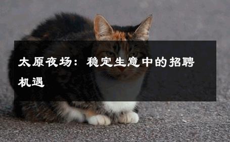 太原夜场：稳定生意中的招聘机遇 