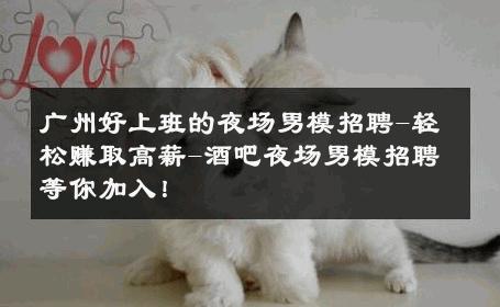 广州好上班的夜场男模招聘-轻松赚取高薪-酒吧夜场男模招聘等你加入！ 