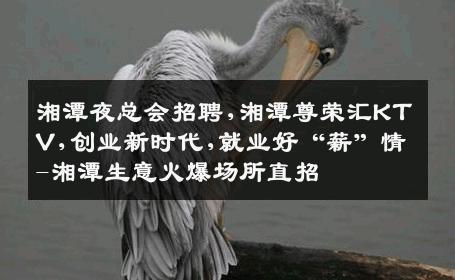 湘潭夜总会招聘,湘潭尊荣汇KTV,创业新时代,就业好“薪”情-湘潭生意火爆场所直招