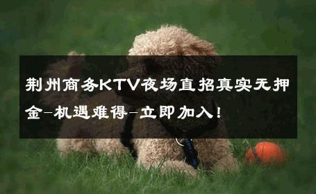 荆州商务KTV夜场直招真实无押金-机遇难得-立即加入！ 