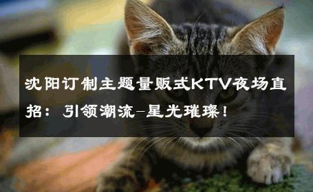 沈阳订制主题量贩式KTV夜场直招：引领潮流-星光璀璨！ 