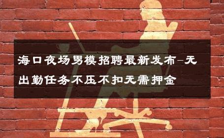 海口夜场男模招聘最新发布-无出勤任务不压不扣无需押金 