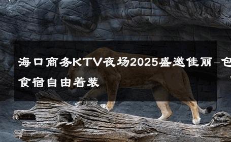 海口商务KTV夜场2025盛邀佳丽-包食宿自由着装 