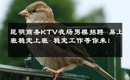 昆明商务KTV夜场男模招聘-易上班稳定上班-稳定工作等你来！ 