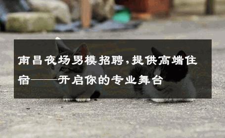 南昌夜场男模招聘,提供高端住宿——开启你的专业舞台 