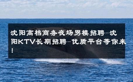 沈阳高档商务夜场男模招聘-沈阳KTV长期招聘-优质平台等你来！ 
