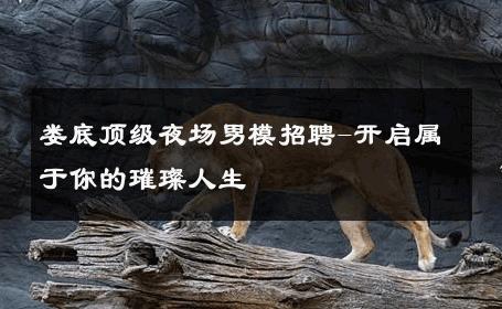 娄底顶级夜场男模招聘-开启属于你的璀璨人生 