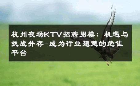 杭州夜场KTV招聘男模：机遇与挑战并存-成为行业翘楚的绝佳平台 