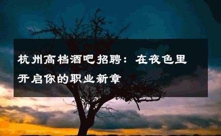 杭州高档酒吧招聘：在夜色里开启你的职业新章 