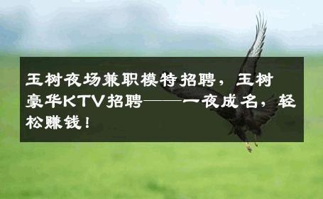 玉树夜场兼职模特招聘，玉树豪华KTV招聘——一夜成名，轻松赚钱！