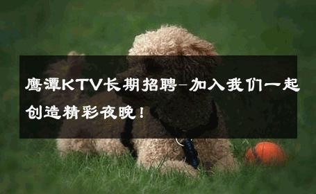鹰潭KTV长期招聘-加入我们一起创造精彩夜晚！ 