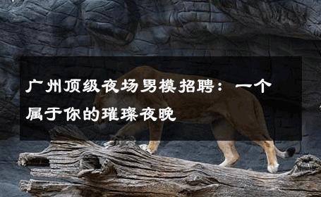 广州顶级夜场男模招聘：一个属于你的璀璨夜晚 