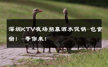 深圳KTV夜场招募酒水促销-包食宿！-等你来！ 