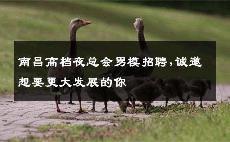 南昌高档夜总会男模招聘,诚邀想要更大发展的你 
