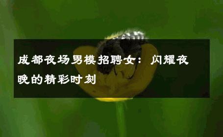 成都夜场男模招聘女：闪耀夜晚的精彩时刻 