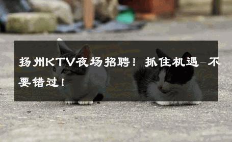 扬州KTV夜场招聘！抓住机遇-不要错过！ 