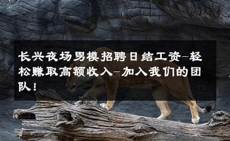 长兴夜场男模招聘日结工资-轻松赚取高额收入-加入我们的团队！ 
