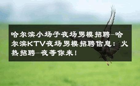 哈尔滨小场子夜场男模招聘-哈尔滨KTV夜场男模招聘信息：火热招聘-夜等你来！ 