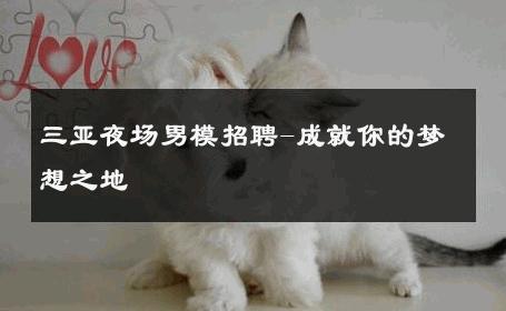 三亚夜场男模招聘-成就你的梦想之地 