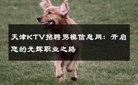 天津KTV招聘男模信息网：开启您的光辉职业之路 