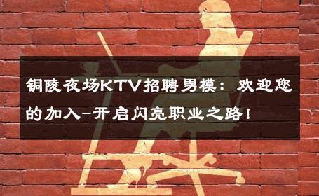 铜陵夜场KTV招聘男模：欢迎您的加入-开启闪亮职业之路！ 