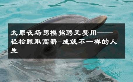 太原夜场男模招聘无费用——轻松赚取高薪-成就不一样的人生 