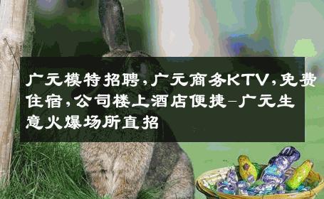 广元模特招聘,广元商务KTV,免费住宿,公司楼上酒店便捷-广元生意火爆场所直招