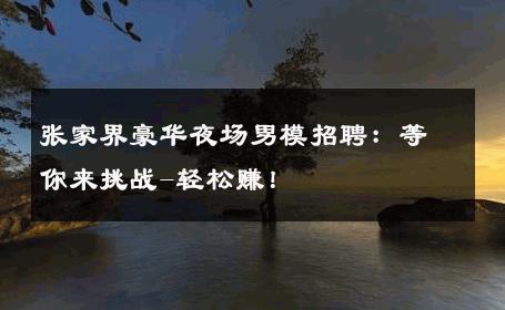 张家界豪华夜场男模招聘：等你来挑战-轻松赚！ 