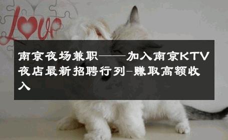 南京夜场兼职——加入南京KTV夜店最新招聘行列-赚取高额收入 