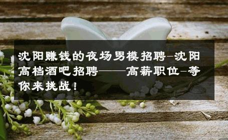 沈阳赚钱的夜场男模招聘-沈阳高档酒吧招聘——高薪职位-等你来挑战！ 