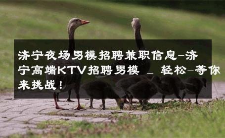 济宁夜场男模招聘兼职信息-济宁高端KTV招聘男模 _ 轻松-等你来挑战！ 