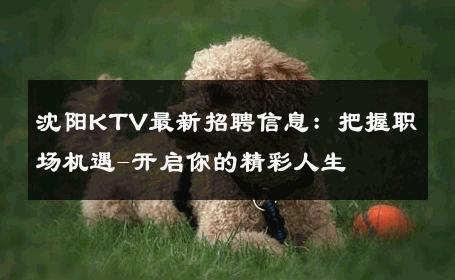 沈阳KTV最新招聘信息：把握职场机遇-开启你的精彩人生 
