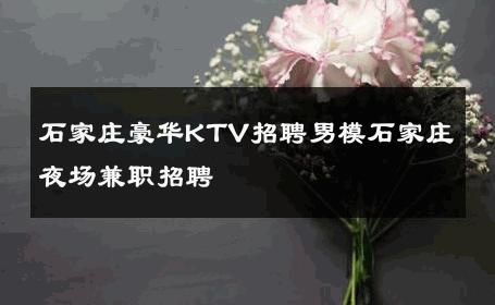 石家庄豪华KTV招聘男模石家庄夜场兼职招聘 