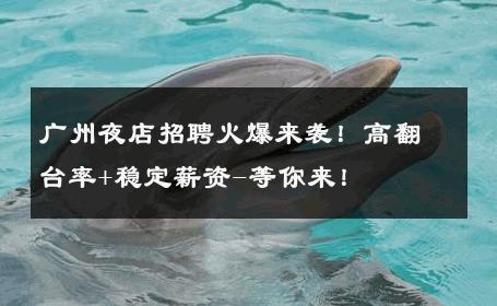 广州夜店招聘火爆来袭！高翻台率+稳定薪资-等你来！ 