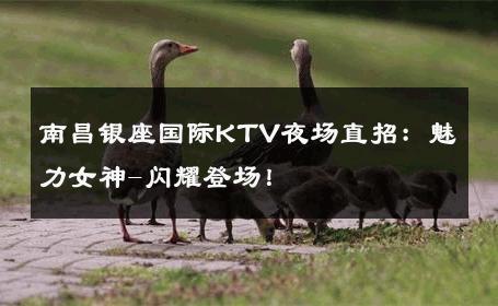 南昌银座国际KTV夜场直招：魅力女神-闪耀登场！ 