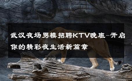武汉夜场男模招聘KTV晚班-开启你的精彩夜生活新篇章 