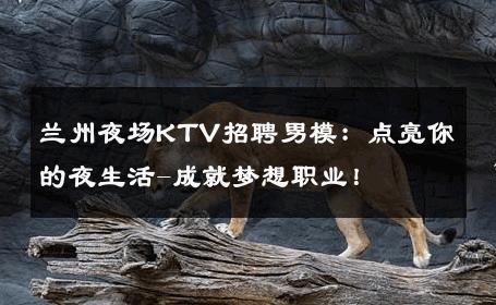 兰州夜场KTV招聘男模：点亮你的夜生活-成就梦想职业！ 