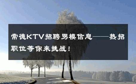常德KTV招聘男模信息——热招职位等你来挑战！ 