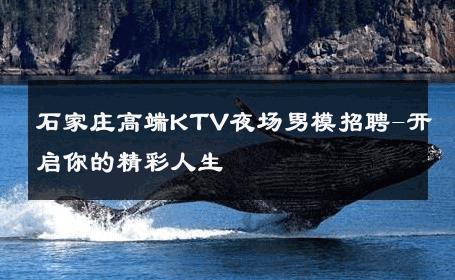 石家庄高端KTV夜场男模招聘-开启你的精彩人生 